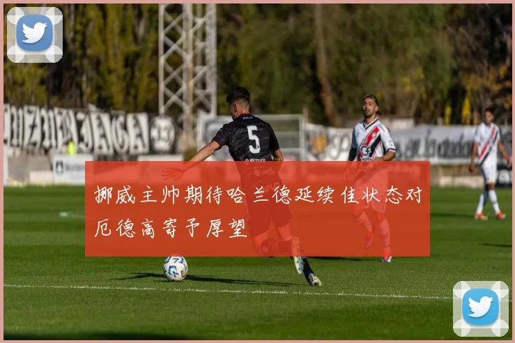 挪威主帅期待哈兰德延续佳状态对厄德高寄予厚望