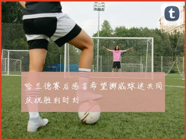 哈兰德赛后感言希望挪威球迷共同庆祝胜利时刻